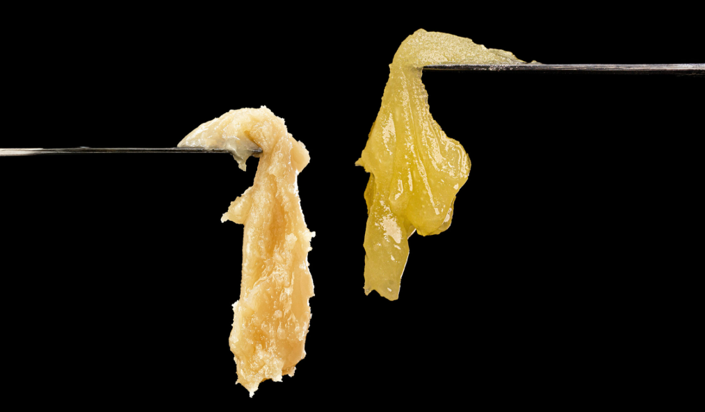 live rosin vs. live resin live rosin vs. live resin